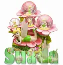 Suada