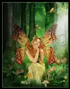 Fairy Dreamer