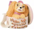 Hello my special friend
