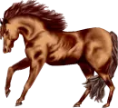 WILD STALLION HORSE ANIMATION