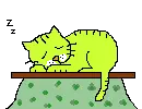 cat nap