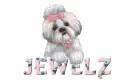 JEWELZ