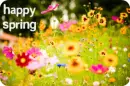 happy spring