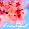 beautiful