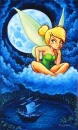 Starry Sky Tink