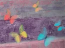Butterfly background
