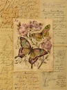 Botanique Butterfly Art