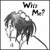 why me?