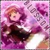 Blossom