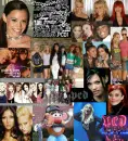 PCD DOLLZ