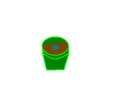 Fast Growing Plant