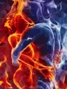 Fire and Ice