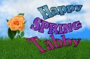 Tabby