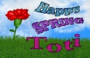 Toti