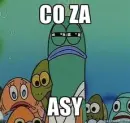 co za asy fish