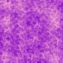 purple plasma