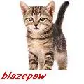warrior cat