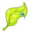 Water Drop