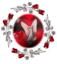 Angel Red Rose