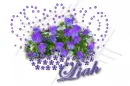 Liah