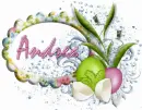 Andrea