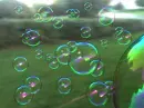 bubbles
