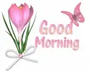 Good Morning