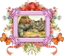 Cat Lover