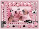 Pooch Smooch