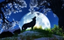 Moon Wolf