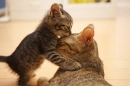 Love<3,,