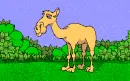 happy hump day