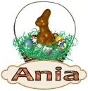 bunny basket Ania