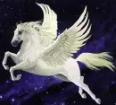 flying pegasus