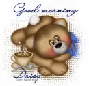 Morning .Daisy
