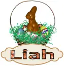 bunny basket Liah