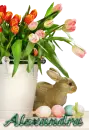 cute easter bunny Alexandra