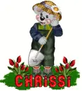 chrissi