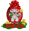 chrissi