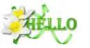 Hello