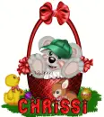 chrissi