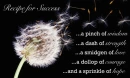 Recipe for Success