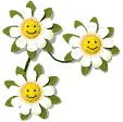 smiling daisies