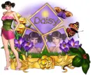Daisy-Springalicious