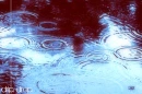 puddle