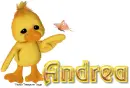 Ducky Andrea