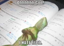 Math Sucks