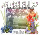 April Showers - Ania