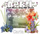April Showers - Carla