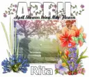 April Showers - Rita